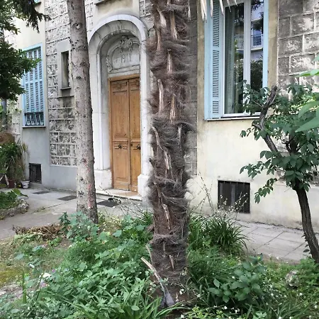 Appartement Mimosas *